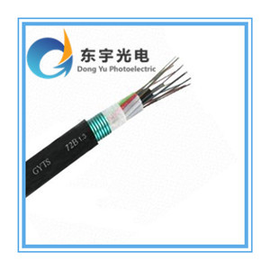 江蘇東宇光電科技西安GYTS-8B1鎧裝光纜熱銷，助力光纖通信網絡發展